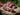Serve With Chianti